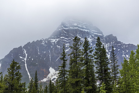 落基山脉和北方森林 - 加拿大贾斯珀国家公园