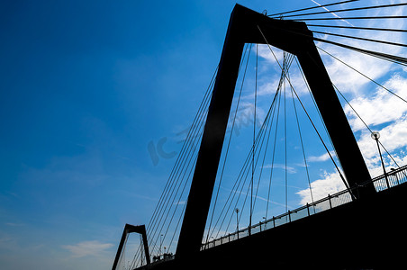 在蓝天的鹿特丹桥梁剪影