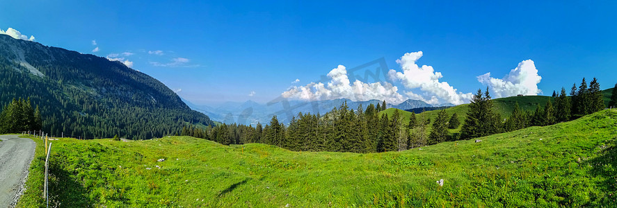 阿尔卑斯奶牛摄影照片_查看在瑞士萨尔嫩的阿尔卑斯山。