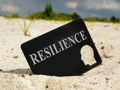 黑色板材，带有Resilience字样和头部造型。