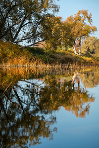 与五颜六色的树和反射在河的秋天风景。