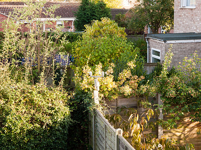 花园的栅栏背景摄影照片_带栅栏绿树花园的后院场景