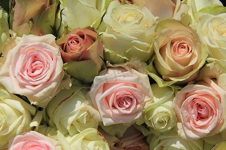 在婚礼安排的白色和桃红色玫瑰