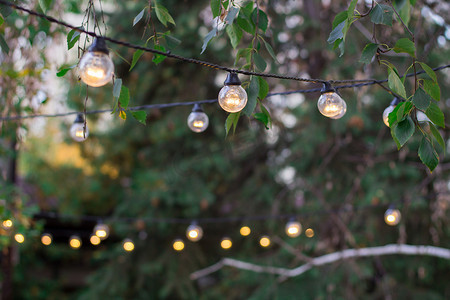 灯泡装饰电花彩挂在树 b 中
