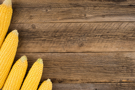 质朴的木桌上的玉米棒子上的新鲜玉米。