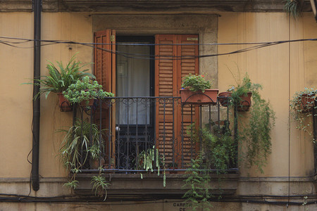 有盆栽植物的阳台
