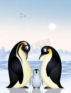 北极风景中的企鹅