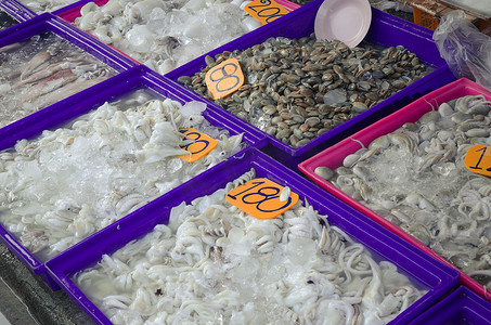 在泰国市场上出售的生鱿鱼。