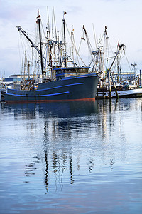 大型渔船韦斯特波特格雷斯港华盛顿州