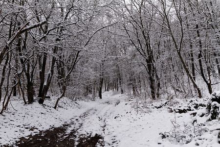 雪路