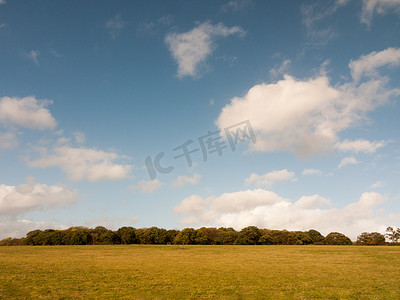 美丽的空农场平原平坦草地树线和蓝色 sk