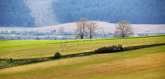 春山摄影照片_斯洛伐克的绿色春山。