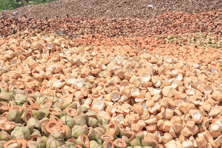 一堆废弃的椰子壳