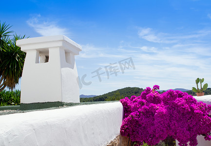伊维萨岛的白色房屋和圣米克尔的鲜花