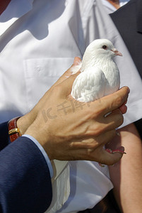 手里拿着一只白色的鸽子
