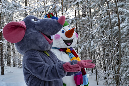 纺织鼠标和雪人服装的动画师。