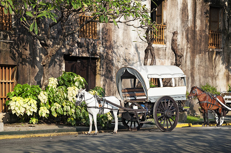 Horse Drawn Calesa，马尼拉 - 菲律宾