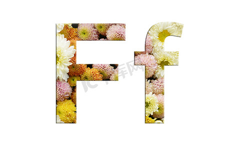 花朵字母摄影照片_字母 F 和 f，从白色背景上的花朵中分离出来的字母