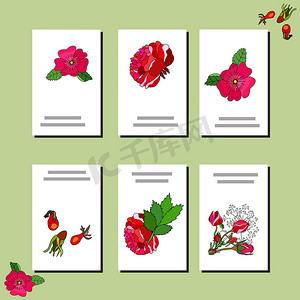浪漫设计元素摄影照片_设置有六个花卉浪漫模板。