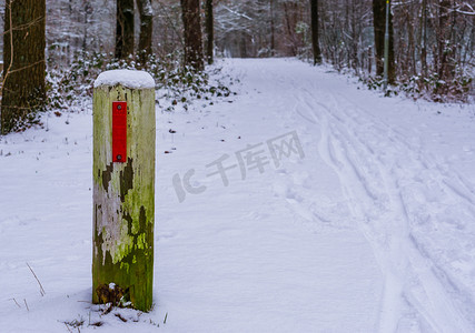 下雪路摄影照片_白色木杆，雪林路，冬季树林，背景树木和植物
