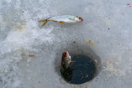 冬季运动冰上钓鱼