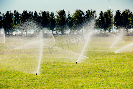 绿草摄影照片_草坪洒水器在绿草上喷水