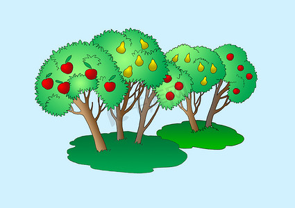 孤立的果树插图