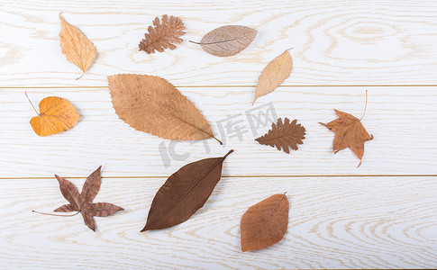 秋天木板背景摄影照片_木板纹理上的干秋叶