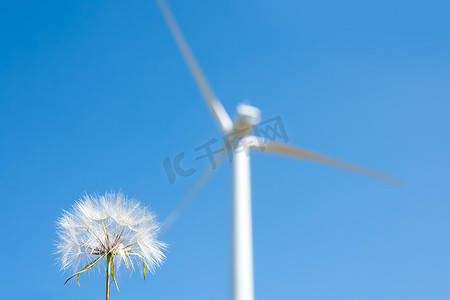 蒲公英和风车背景绿色能量
