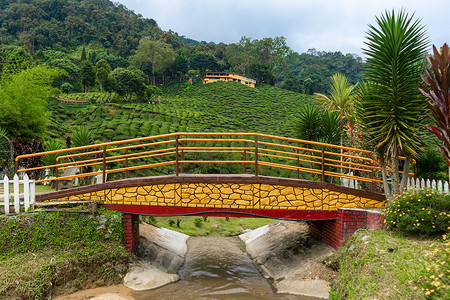茶谷摄影照片_通往卡梅伦茶谷的山区河流桥。