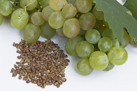 葡萄和葡萄籽