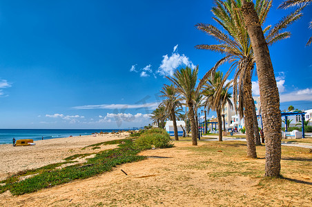 枣椰树摄影照片_在晴朗的海滩，哈马马特，突尼斯，地中海的枣椰树，