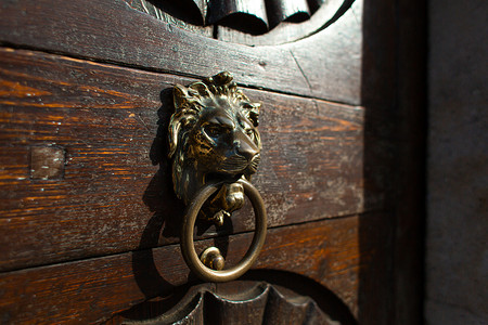 带有门环的古董门，形状为狮子头，牙齿咬着戒指。