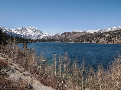 夏天雪山摄影照片_美丽的湖、雪山和松树