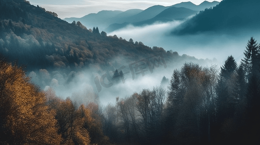 一座被雾和树木覆盖的山