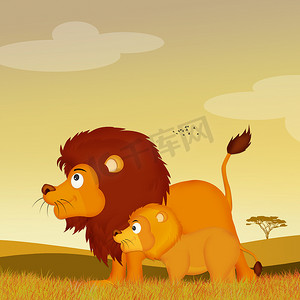 非洲风景中的狮子