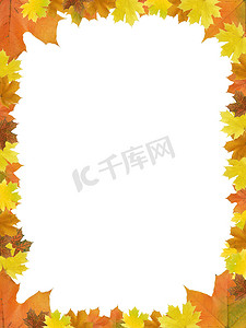 秋天的树叶相框