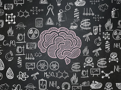 科学概念： 学校董事会背景上的大脑