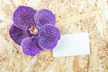木质背景上的紫色万达兰花，空白纸空间供文本