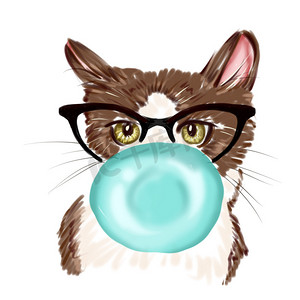 手绘水彩插图-带泡泡糖和眼镜的猫的插图