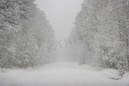 美丽的冬季景观与冬季森林中的雪路。