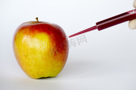 苹果转基因