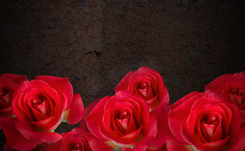深色生锈钢质上的甜美鲜红玫瑰花束 —