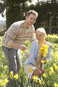 情侣春天摄影照片_浪漫的情侣采摘春天的水仙花