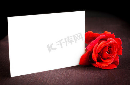红玫瑰和空白礼品卡，用于旧木背景上的文字