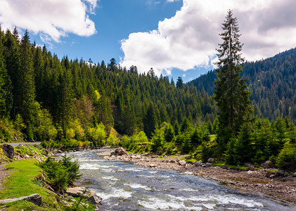 艳丽风景摄影照片_美丽的风景与山中的森林河流