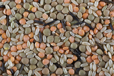 扁豆和水稻背景
