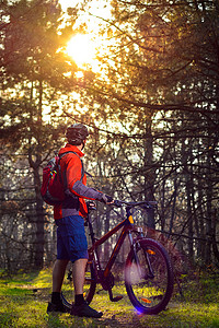 骑自行车的人在美丽的童话松林的小径上骑自行车。