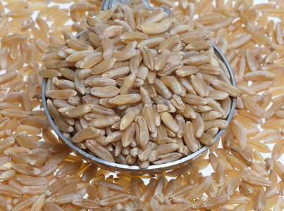 Khorasan 小麦，Kamut，一种古老谷物的变种