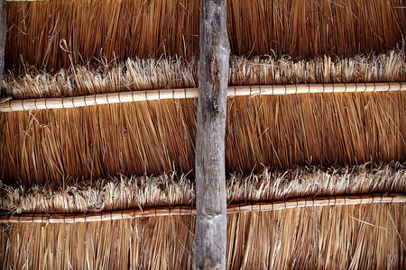 玛雅人摄影照片_小屋 palapa 传统天窗 wiev 从上面
